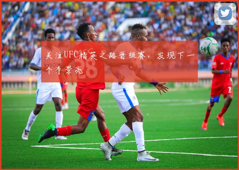关注UFC精英之路晋级赛,发现下一个李景亮