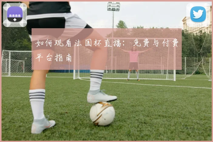 如何观看法国杯直播：免费与付费平台指南