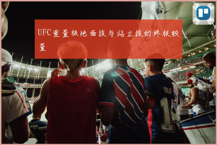 UFC重量级地面技与站立技的终极较量
