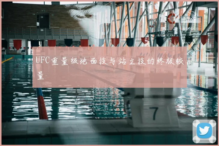 UFC重量级地面技与站立技的终极较量